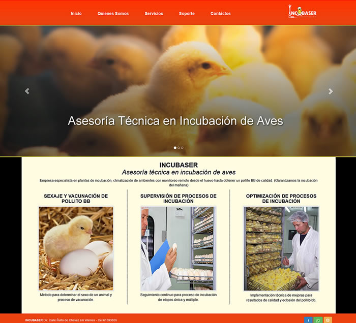 clientes apisoft